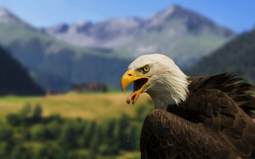 754228 (a): :3840x2400